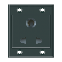 Combined Switch & Socket (Plate) (2)