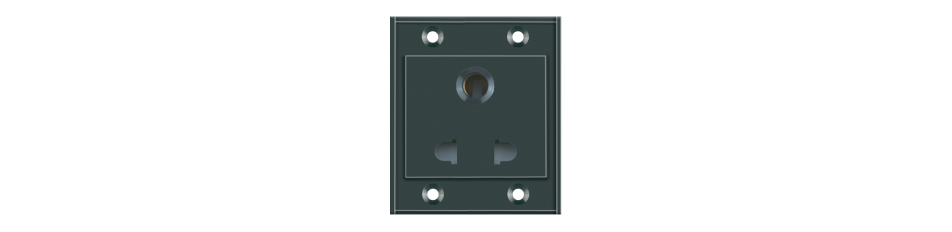 Combined Switch & Socket (Plate)